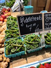 Fiddleheads