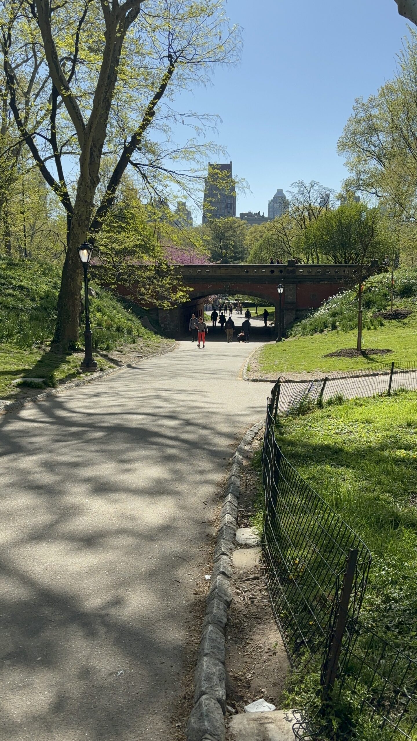 New York City: Central Park and More