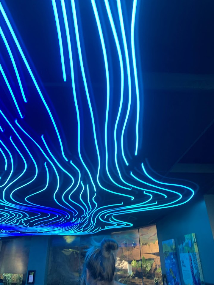 A dark ceiling with blue lights around it