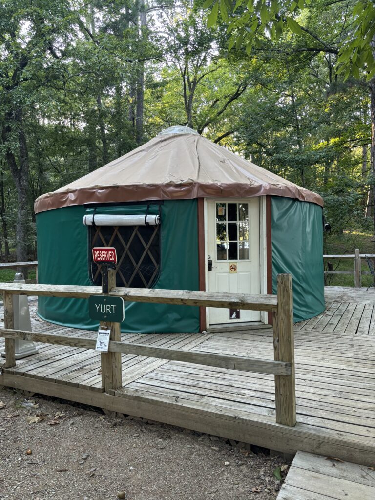 A yurt standing in front of a wooded area on top of a porch