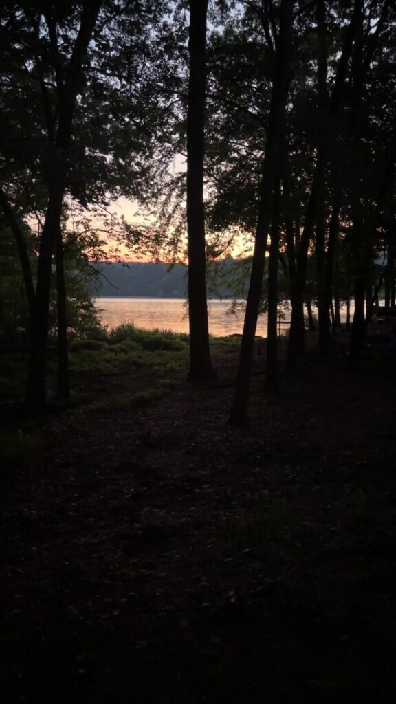 The sunrise over a lake with a few trees in front of it