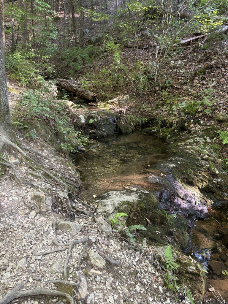 A creek with some small waterfalls