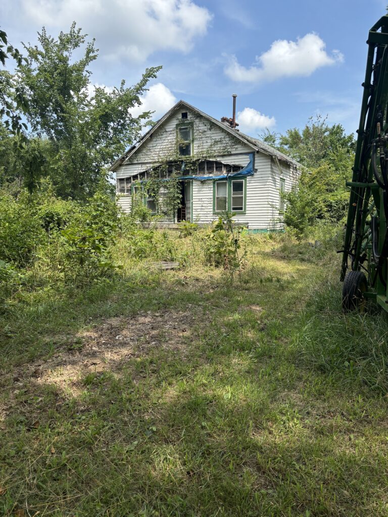 A house that's abandoned surrounded by trees