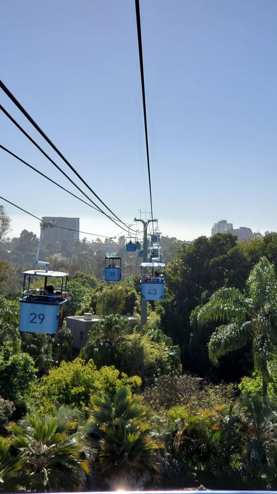 Two skyfari trams overlooking trees and the city of San Diego