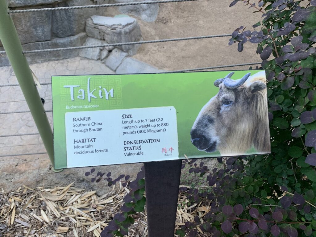 A sign that tells about the Takin at the San Diego Zoo