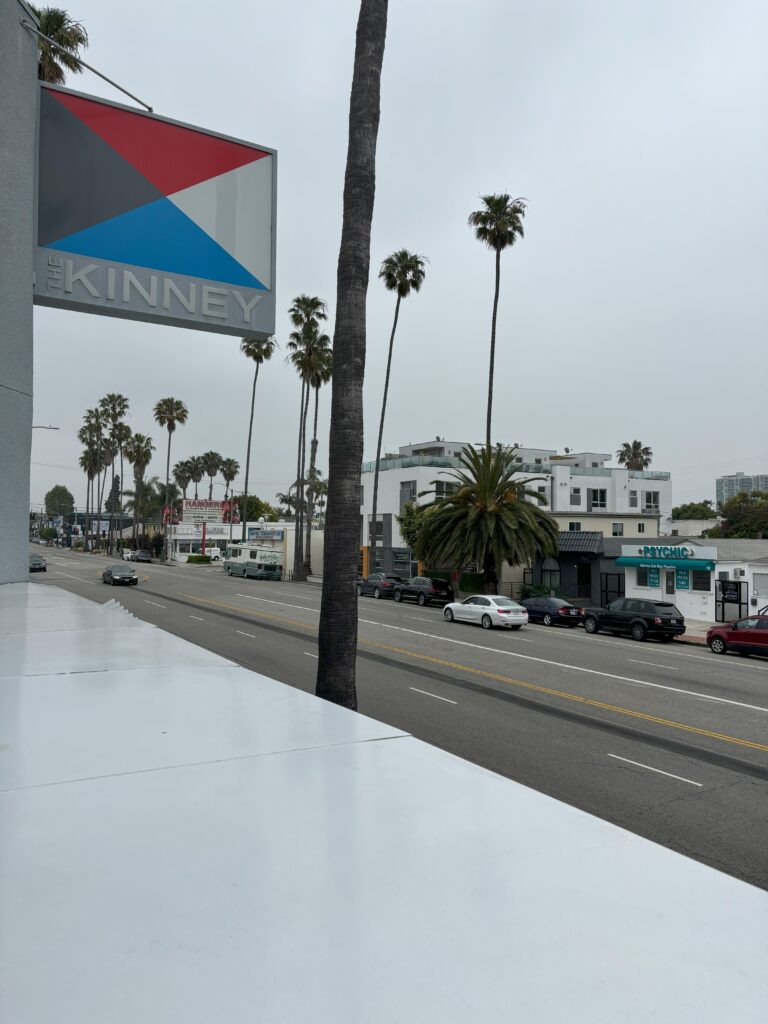 Palm trees, a street, and a sign that says "The Kinney"