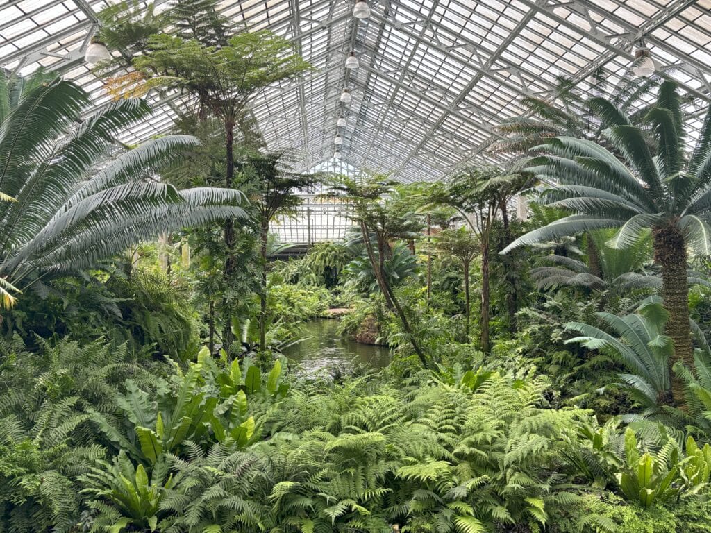 Conservatory Inside with greenery and waterfall