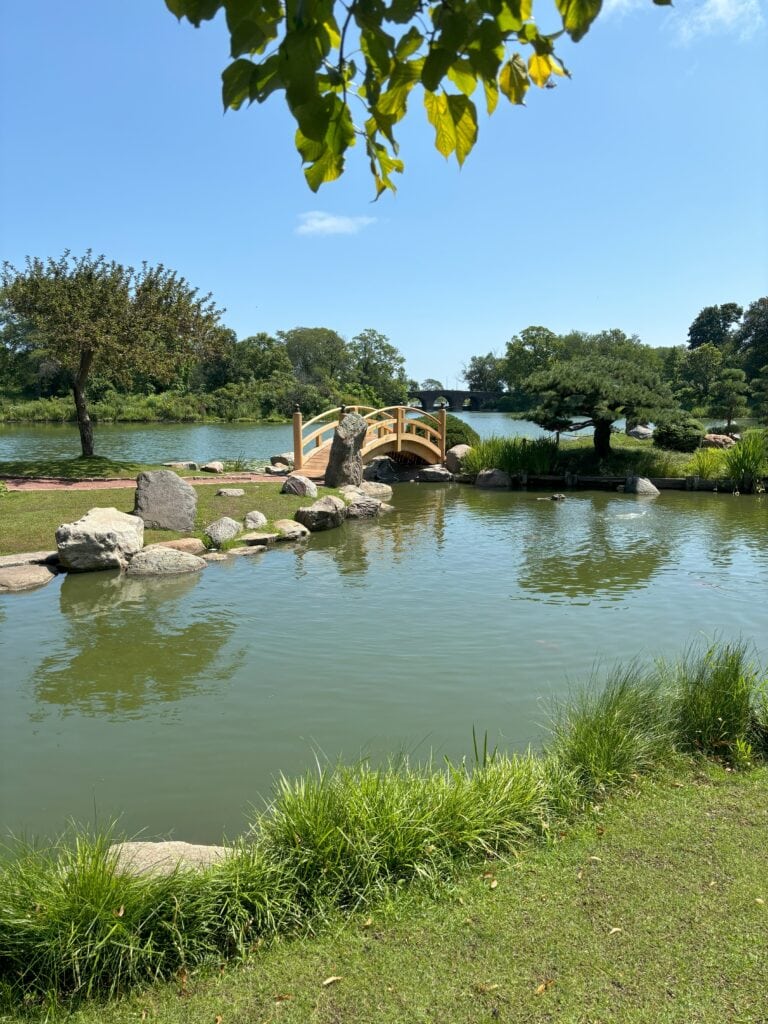 Garden of the Phoenix Bridge with a lake