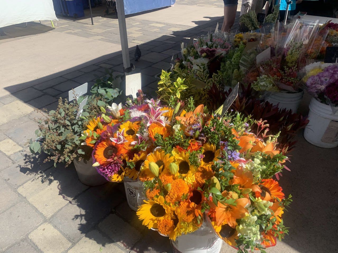 Sunflowers with other types of flowers mixed in sitting on the ground