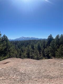 A camping spot a Mount Hermon with trees in the foreground and mountains in the background