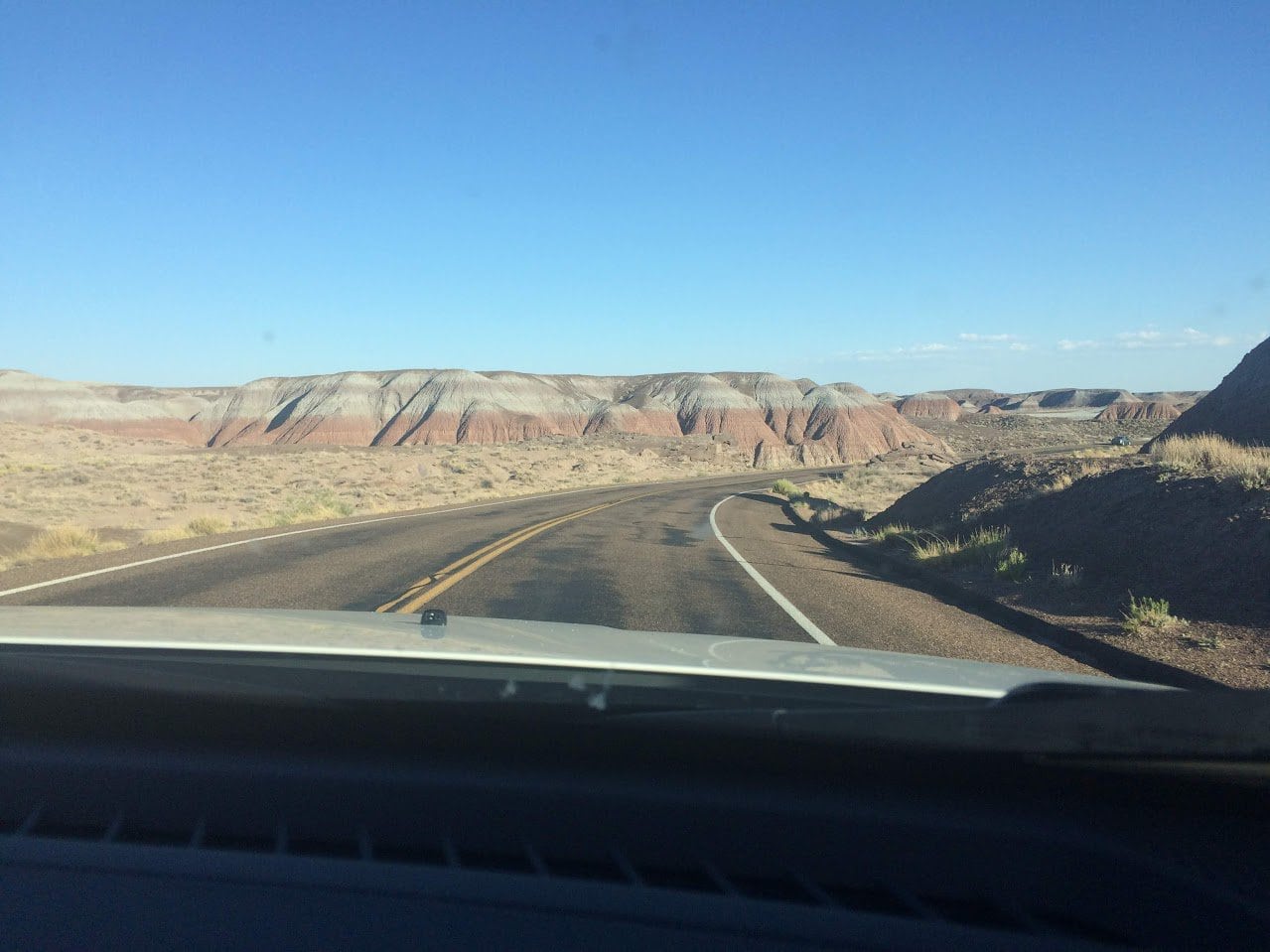 Petrified Forest National Park: A Colorful, Captivating Park in Arizona