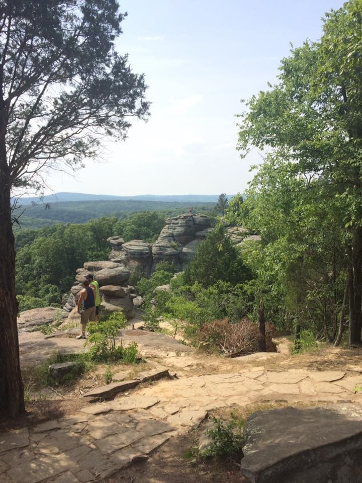 A cliff with a lot of greenery