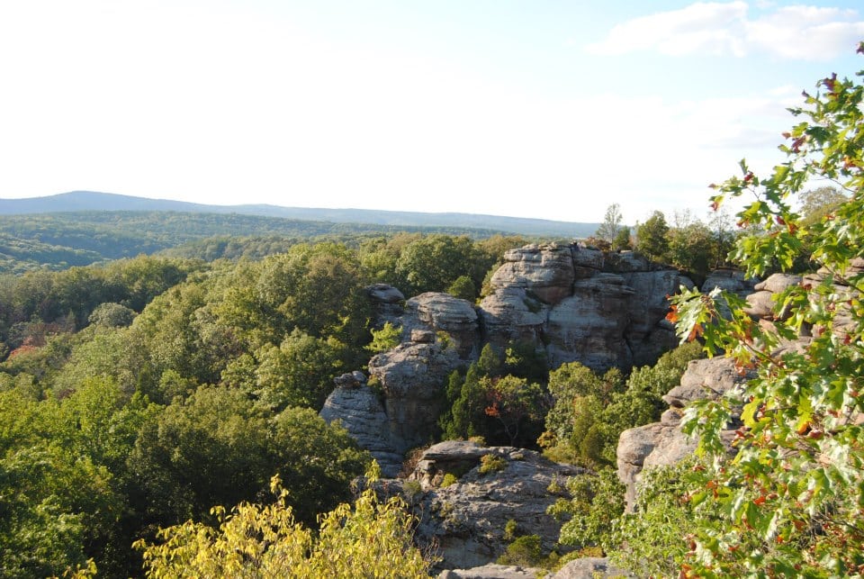 A cliff with a lot of greenery