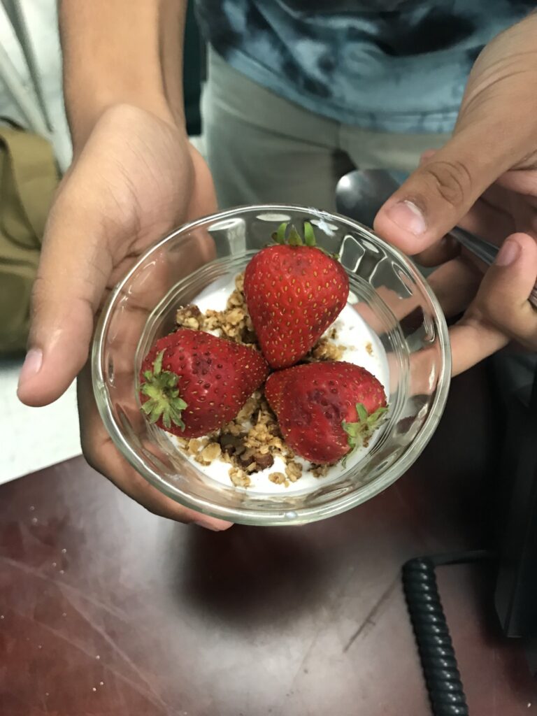 A hand holding a small bowl with yogurt with strawberries and granola on top