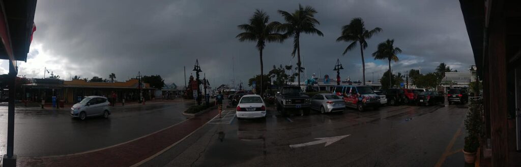 A storm with palm trees in the Florida Keys