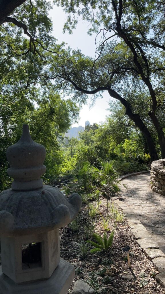 Trees in the foreground and Austin, Tx hidden behind them.