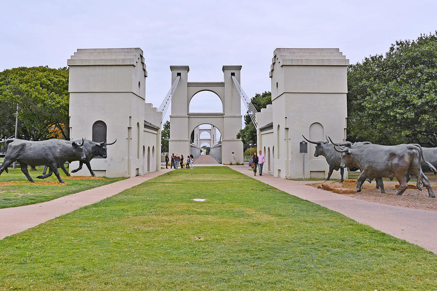 Waco suspension bridge with statues of bulls in front of it.